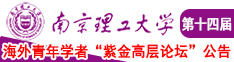 被大鸡吧狂插的美女视频南京理工大学第十四届海外青年学者紫金论坛诚邀海内外英才！